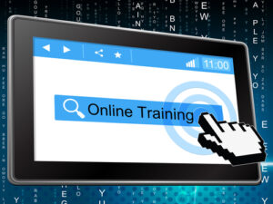 Online Training Program