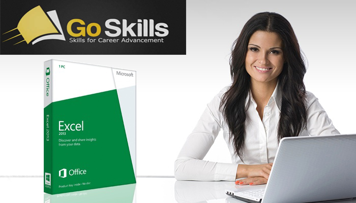 GoSkills Microsoft Excel Basic